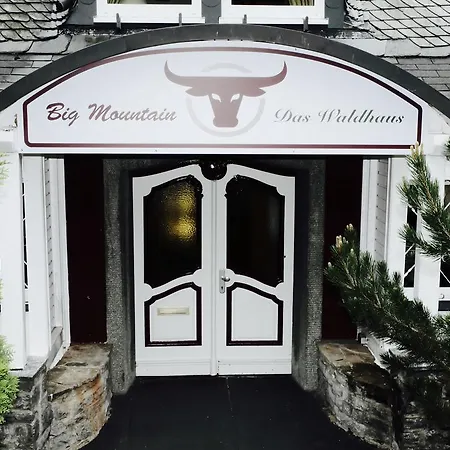 Big Mountain Das Waldhaus Winterberg