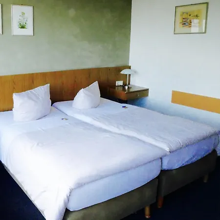 Hotel Big Mountain Das Waldhaus 3*
