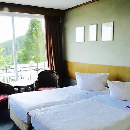 Ξενοδοχείο Big Mountain Das Waldhaus 3*