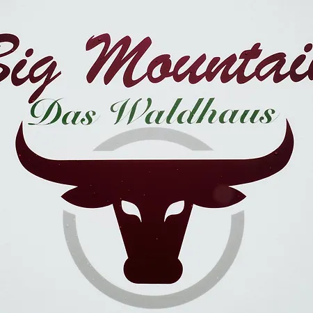 Hotel Big Mountain Das Waldhaus 3*