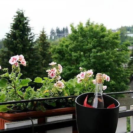 Big Mountain Das Waldhaus Hotel Winterberg