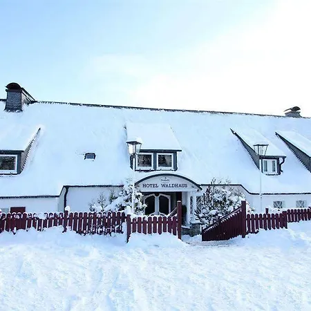 Big Mountain Das Waldhaus Hotel Winterberg